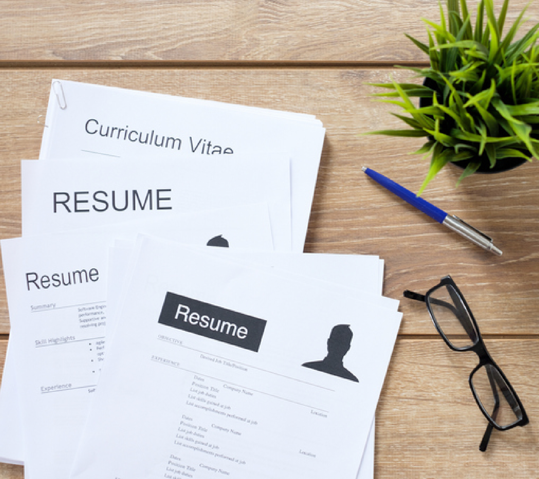 Student Resume Revolution: Crafting a CV That Stands Out